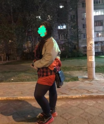 Жучка